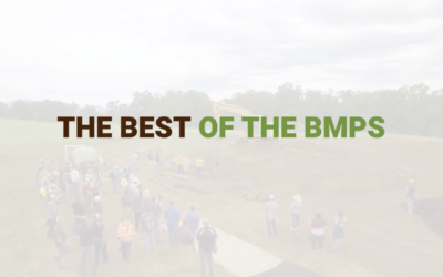 The Best of the BMPs SUMMIT Video Course