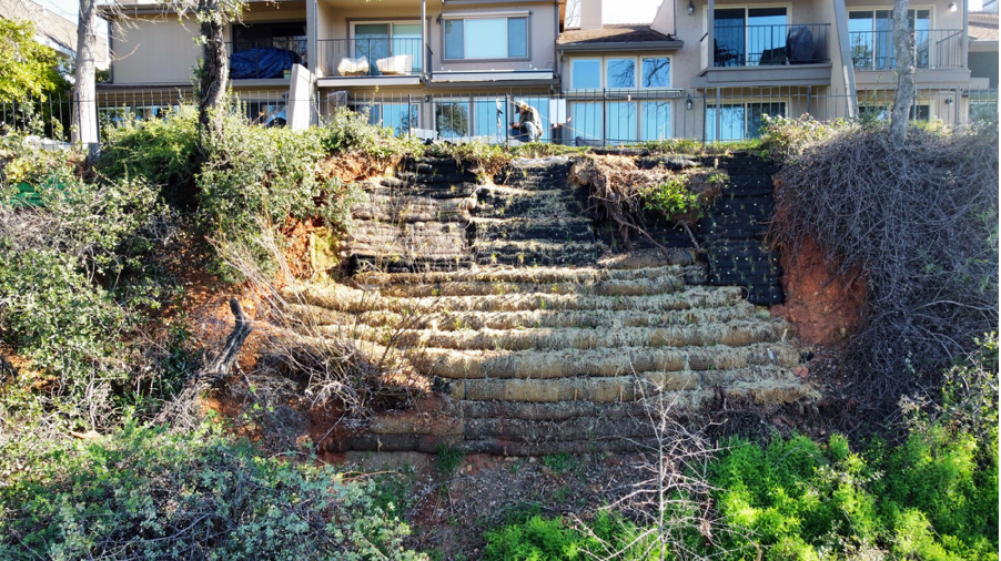 Bioengineering - VMSE and Living Wall for Steep Sacramento River Bluffs